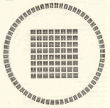 tigr3.JPG (27939 bytes)