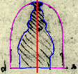 Crescita-Simmetria-ritratto-A 15-04.JPG (16265 byte)