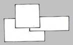 1decnos.jpg (6895 byte)