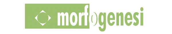 morfogenesi