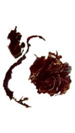 graf3.gif (9348 byte)