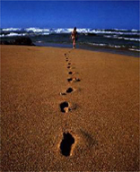 solitario