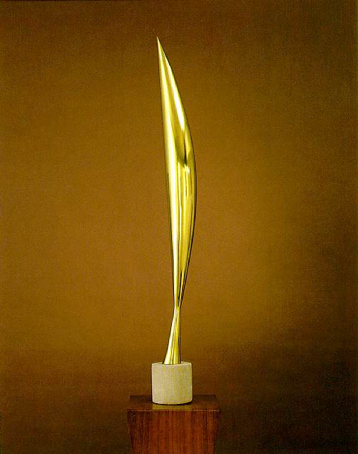 Fig. 31 - Bird in space - C. Brancusi