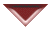 trSUr.gif (1204 bytes)