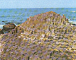 Basa.jpg (49517 bytes)