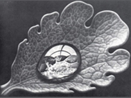 escher2.JPG (26586 bytes)