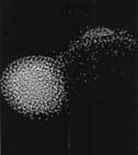 ipo4.JPG (6540 bytes)