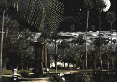 park2.GIF (29342 bytes)