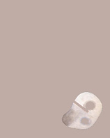spazinter.JPG (4394 bytes)