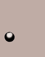 spazpr.JPG (4231 bytes)