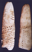 stone1.JPG (27758 bytes)