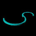 SCE1-CURVA.jpg (4760 byte)