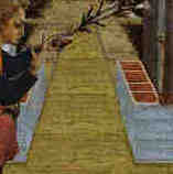 TAB_SCE_II_insinuazione.jpg (3544 byte)