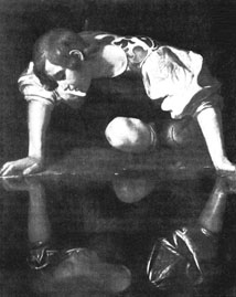 Narciso.jpg (18363 bytes)
