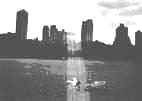 ny.JPG (5416 bytes)