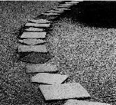 Perbeole.jpg (10870 byte)