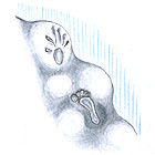 add7m.jpg (14410 byte)