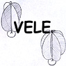arvel.jpg (11444 byte)