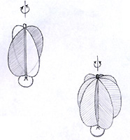 dis2a.jpg (18189 byte)