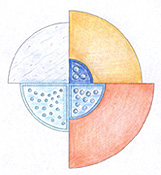 dis6c.jpg (21109 byte)