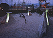 imadd5ep.jpg (13046 byte)