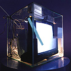 imadd8f.jpg (21061 byte)