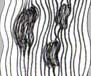 2trisnos.jpg (9775 byte)