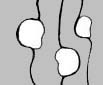 3trisnos.jpg (7810 byte)