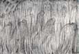 boccres1 0.jpg (9823 byte)
